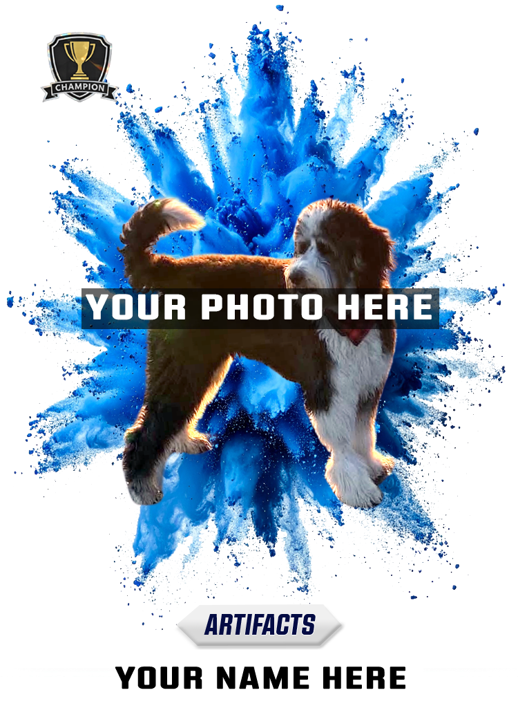 Pet Bomb Edition