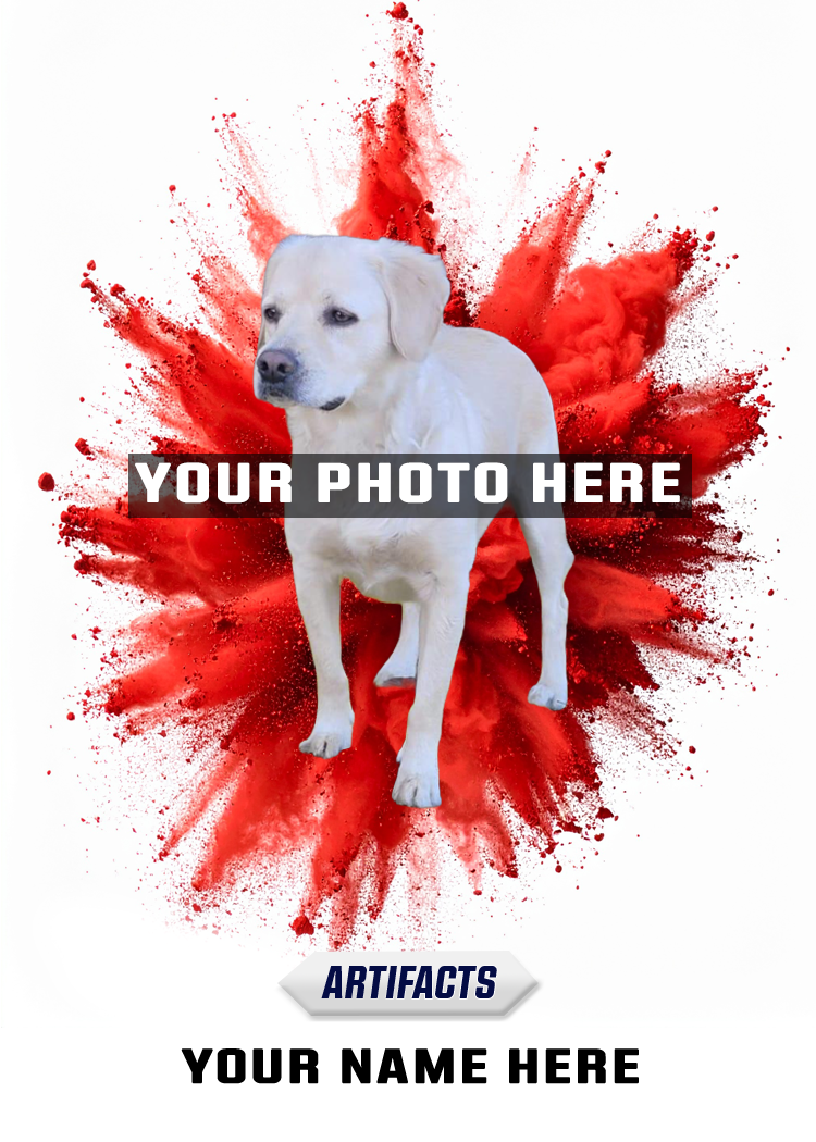 Pet Bomb Edition
