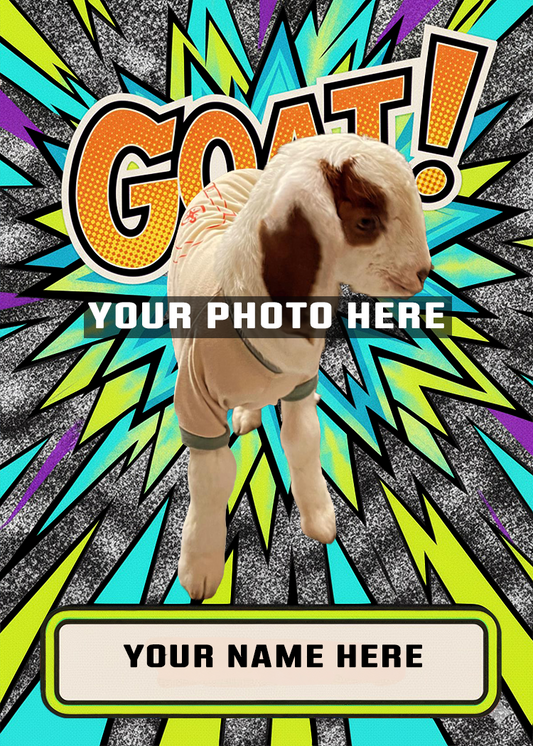 Pet Bang Edition